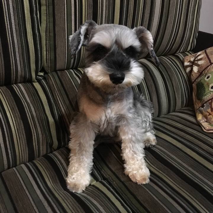 499e448e fcd0 485d b4d5 41758819ffe6