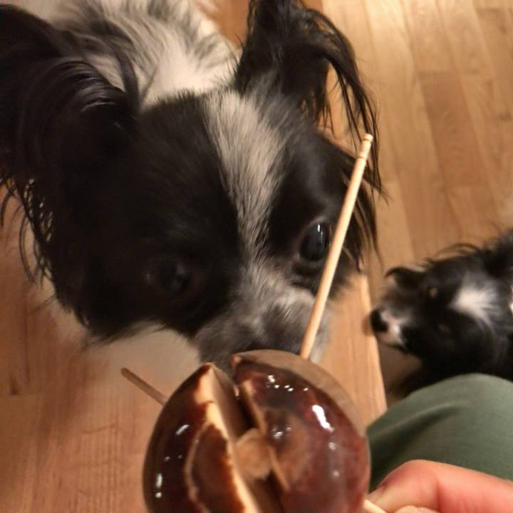 499f79da 3e9e 45cc 987d 54a2f4c99d4e