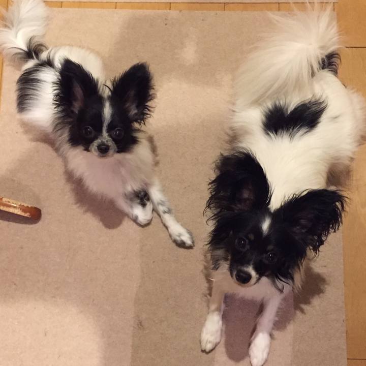 49a0124c 4426 44c7 bcf0 0c0abddb4863