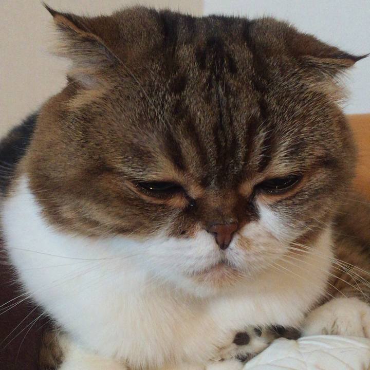 49a03f2e cec9 45b9 a8fd 27c6bc2b15ef