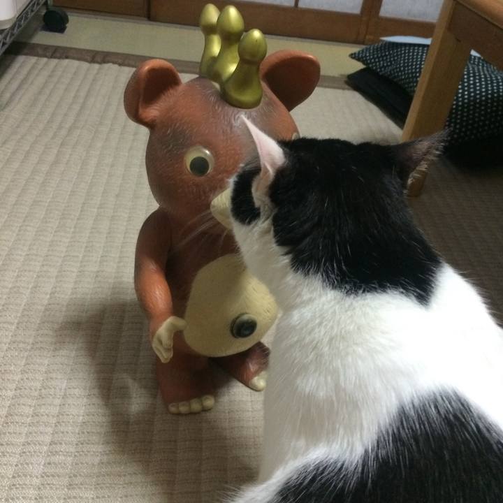 49a11da3 55f2 455f 9599 d74518197695