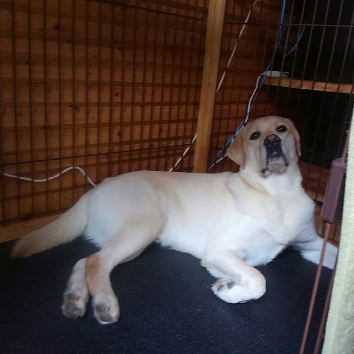 49a192e2 afb2 4b8d 896a c683f39fdcb3