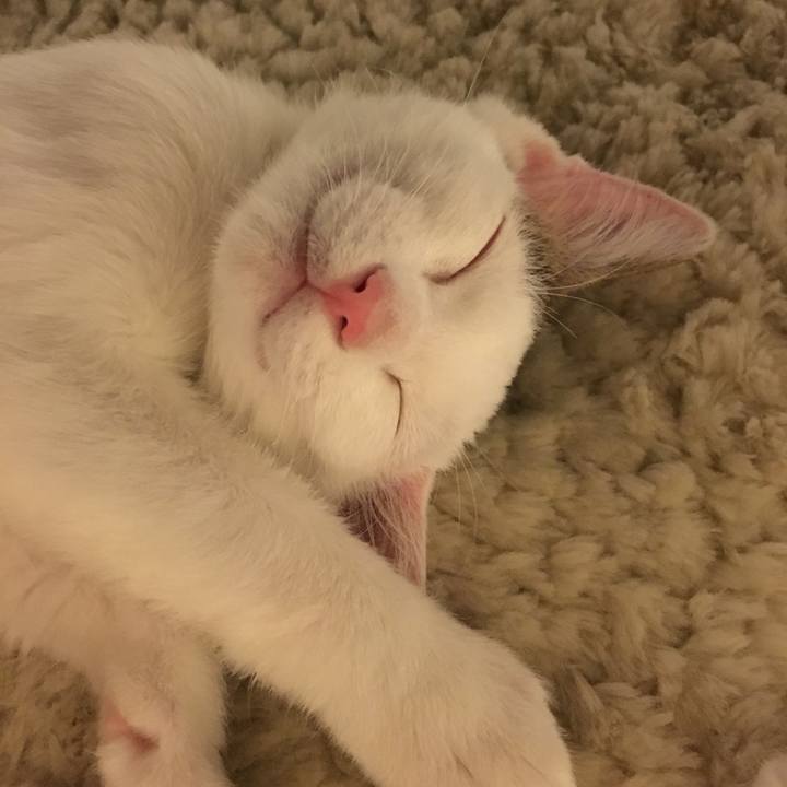 49a1ad86 620f 463b af5a 302eedc7b57b