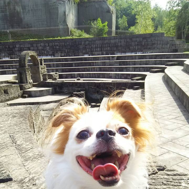 49a1ae27 aacc 46dc a6c7 7e6c2199668a