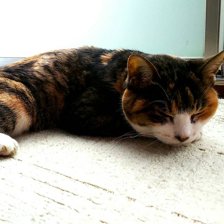 49a1f939 72df 4c5f 8d12 9ee764fd1bb4