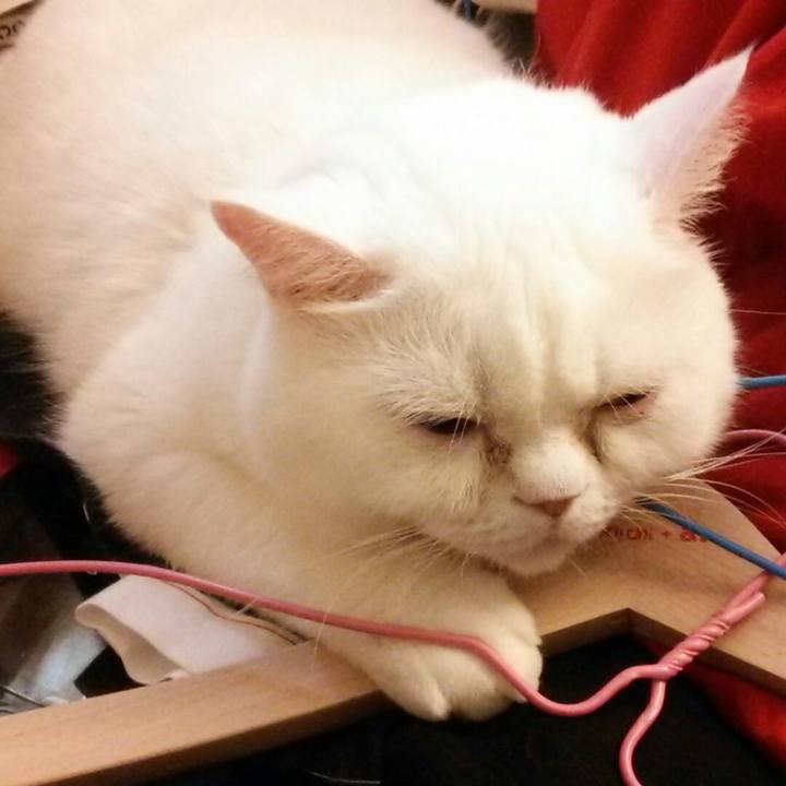 49a21c50 cb8a 4543 9414 a3ba8ae1f962