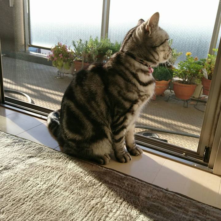 49a25a53 564f 4394 b581 2b1431eac7d0