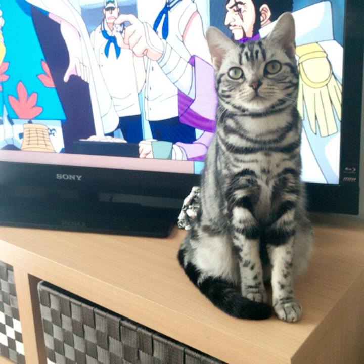 49a3ff84 b938 47b5 880d 4e909477c994