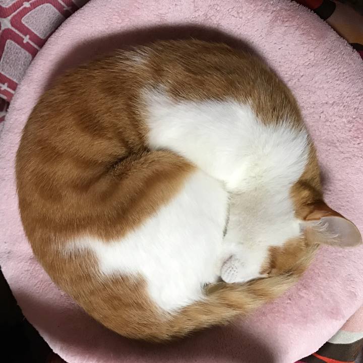 49a46dfc 87fa 41ca 823c 158c55b3aced