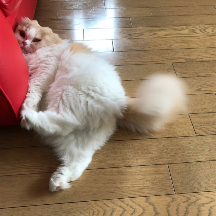 49a470f2 6ca3 474e 846b 34911dacfc1e