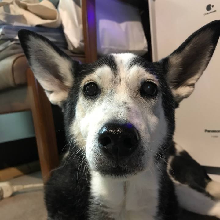 49a492cc d40e 4d8d b580 b8a681511377