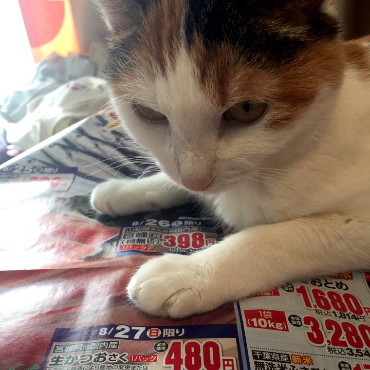 49a5908d 51d9 40d0 a2aa 32060ff43d17