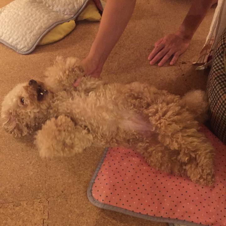 49a59fdb 6b9a 4823 b464 48c41d1010b1