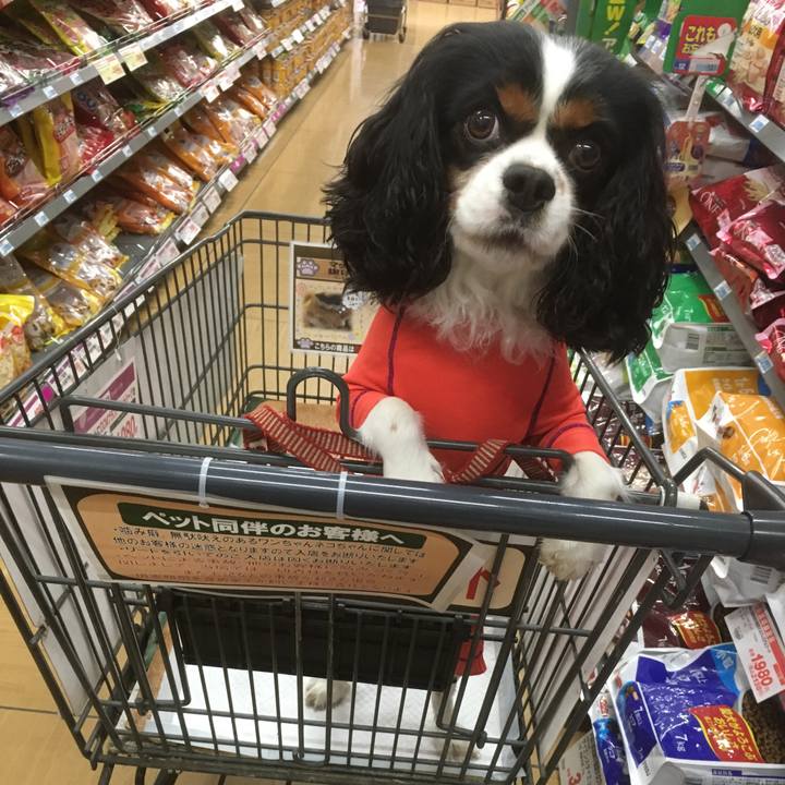 49a5c12e 4d88 4eec 8ee4 6d08a74eb35c