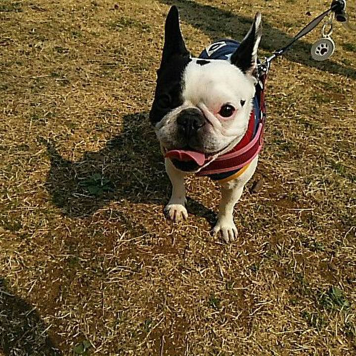 49a5fed5 57fd 4fe2 beba 809878739237