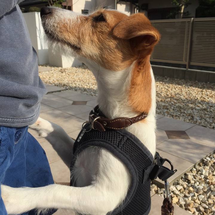 49a74c92 9282 4ba6 8914 81757c6ce968