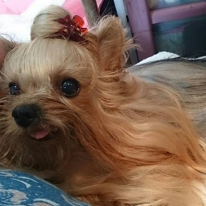 49a7927a bc25 4549 af97 4d7e74c27b60