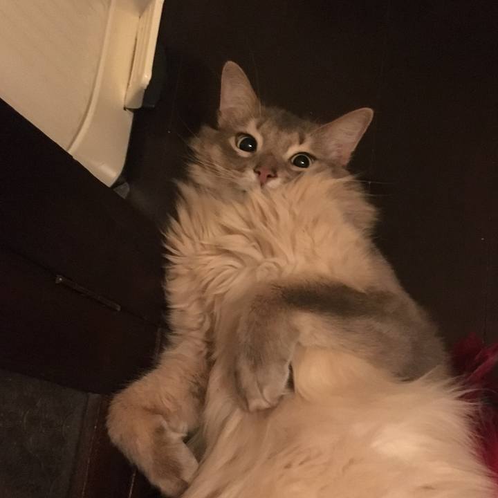 49a7a1fa e2ec 4f65 b645 94828dea7af2