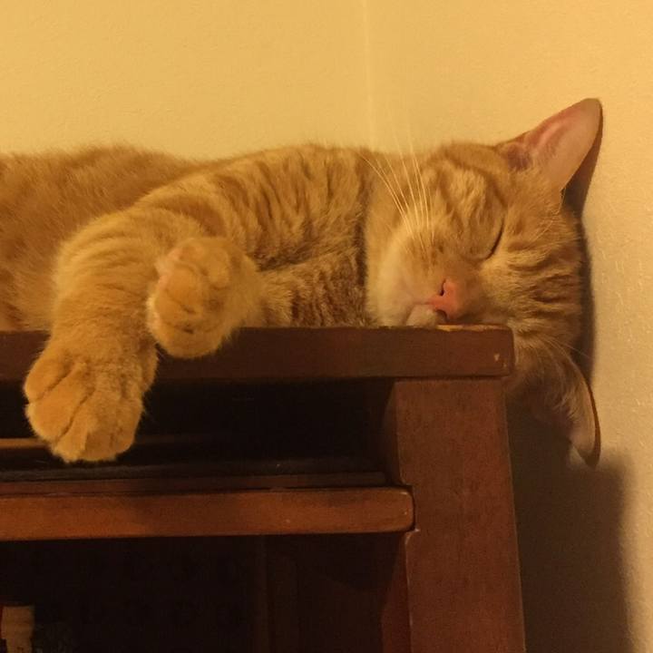 49a83efe bdee 49dc b509 776478495fd3