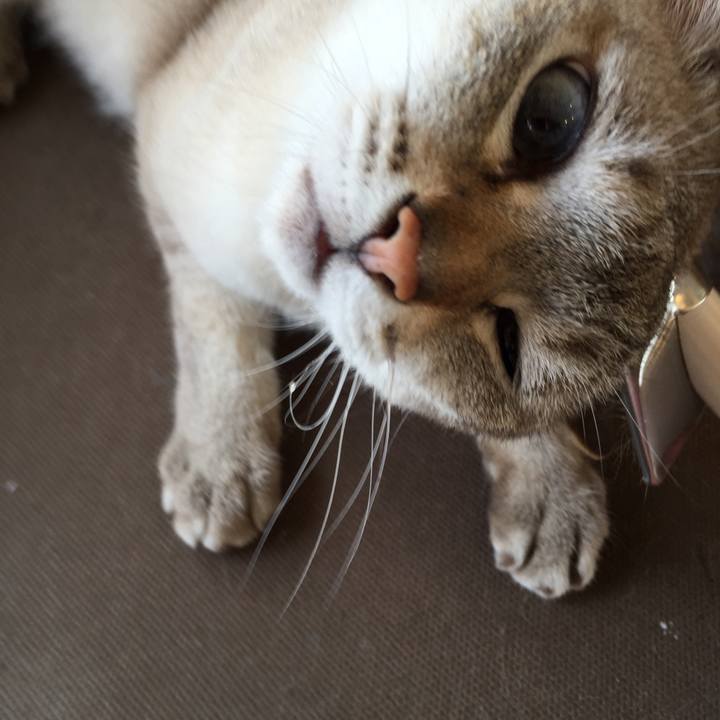 49a852ed 3fb4 4efa acbe 8adb555d6638