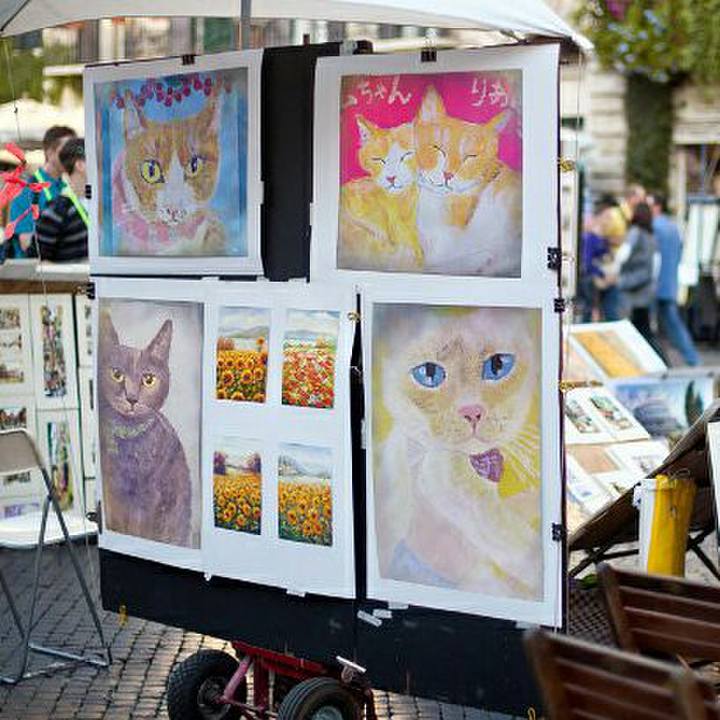 49a914e7 9681 4361 99e4 d52b13380ecd