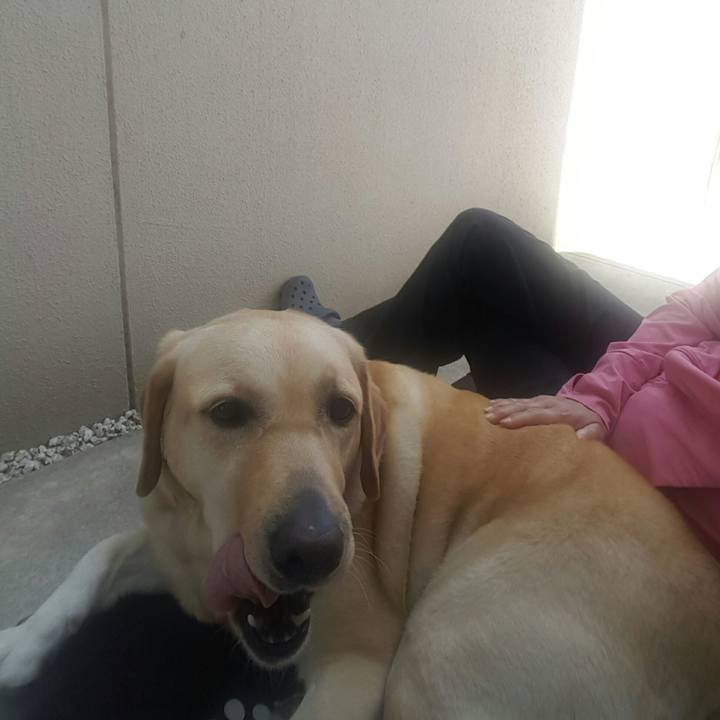 49aa8bec 13e1 4166 80f8 2c7efd0f391d