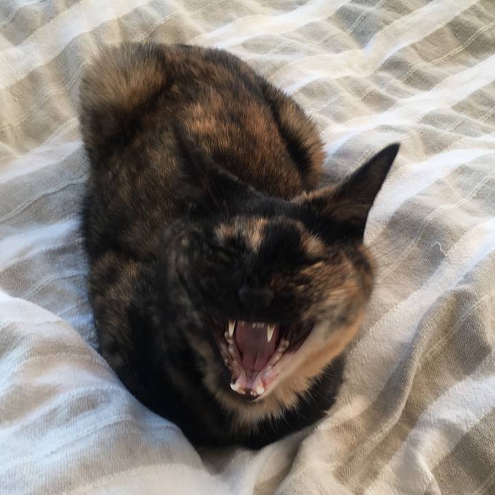 49aab045 b890 44f2 a550 b11374c986aa