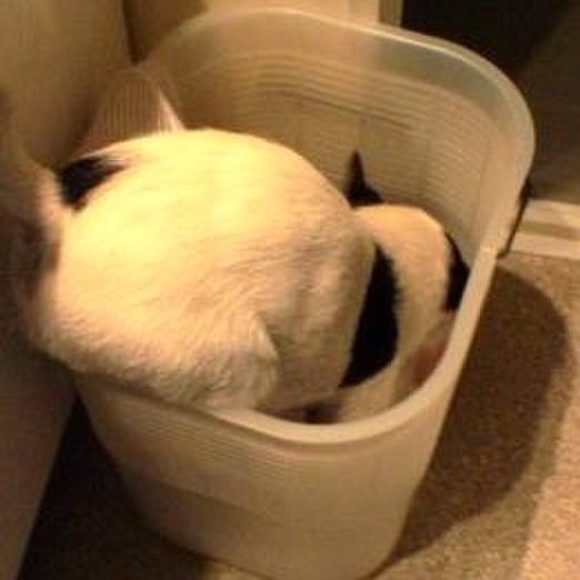 49ab0632 68a4 4f98 8481 1004330d4525