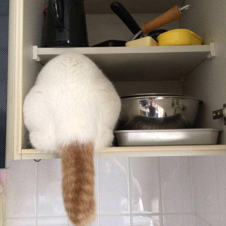 49ab8493 f255 433f 8cc4 62bd3752f680