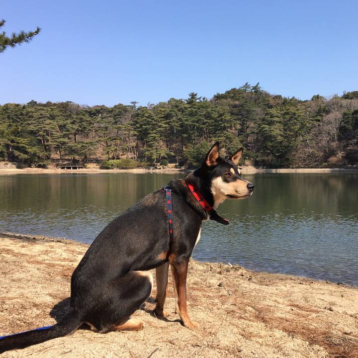 49ac0d93 0710 4478 9bc6 ccadd1ab6671