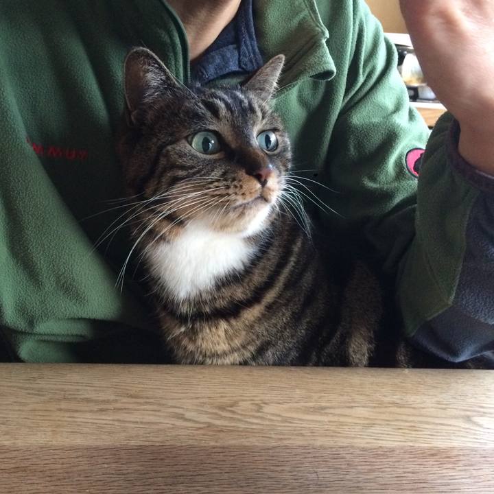 49acaeaf e99f 4d50 9b9e 59e5c7fe02cd