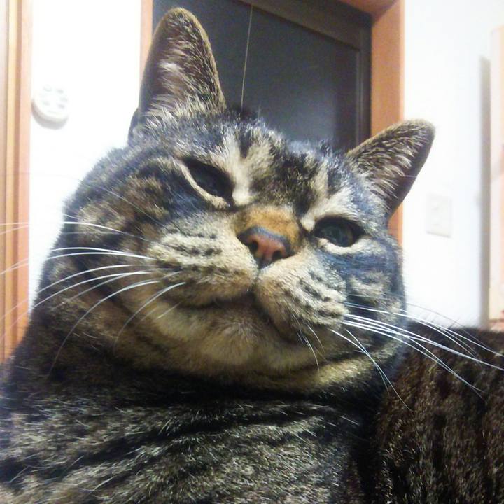 49ad077a 82d1 475f 88a2 1304df86bff2