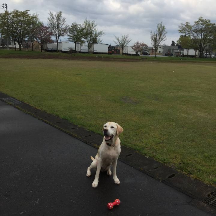 49ad8daf b5d4 4a51 9532 59a6876d4d3f