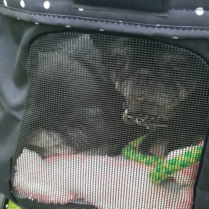 49ad9544 1b9c 4a3a 9c13 296435848260