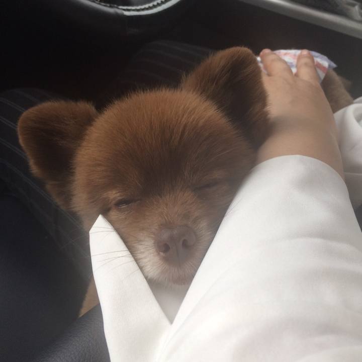 49adacb2 a501 4beb 9da1 4dbee5a6d0e4