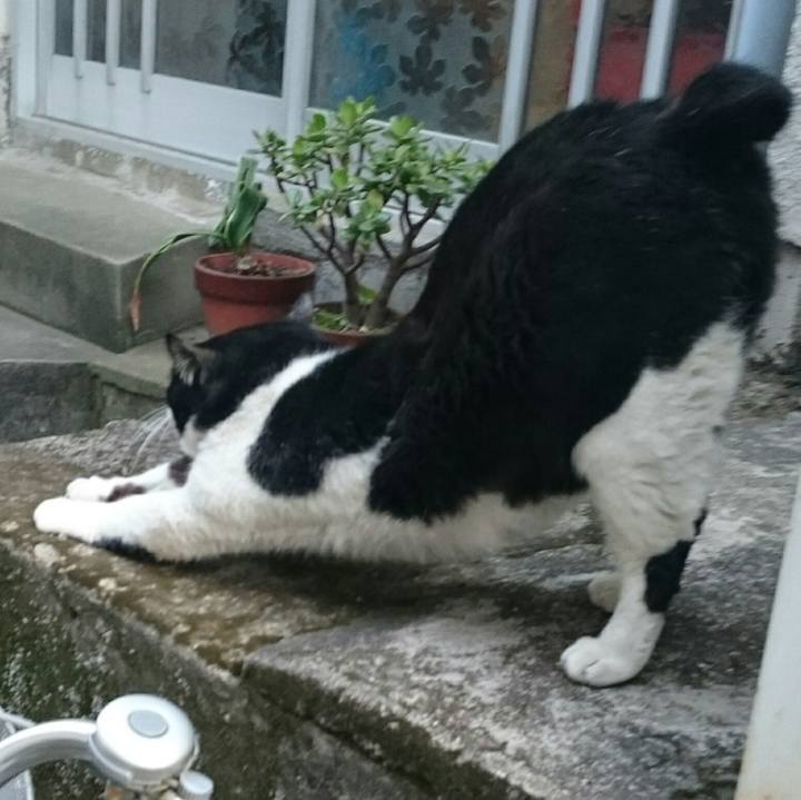 49adb8b2 d5a9 49b9 8512 225ce8df01e9