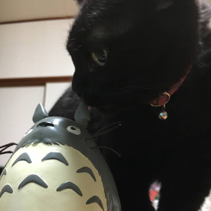 49ae8145 d6b7 48a1 986b b33b86f5a740