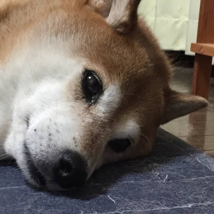 49af36c0 c62a 4682 8e1f 82477d8d204a