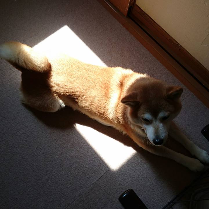 49af5aaa c09d 4cc3 907f 2396702dd210