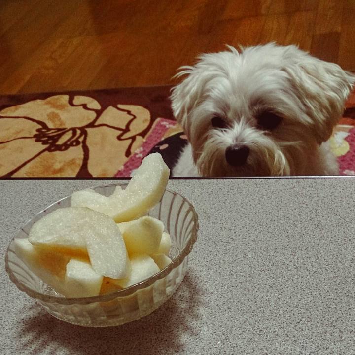 49b15206 1219 48bc bf01 8210010d11fe