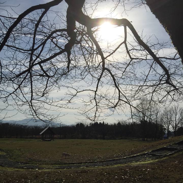 49b1d59a 157f 4e2b 8758 63edf1fef89e