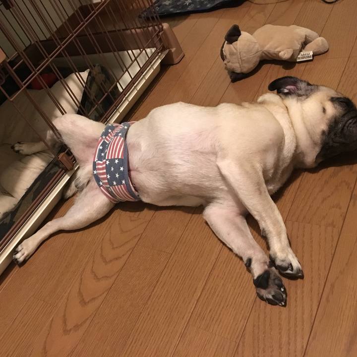 49b23c22 ed13 4e52 a2c7 ac2a5d0e1047