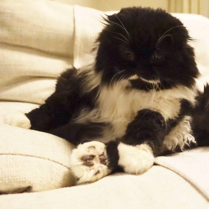 49b31385 ddc8 47dd 91d8 9c7a51470a0d