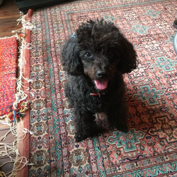 49b3e62d b95b 48ea 86f1 9e94daed2bc8