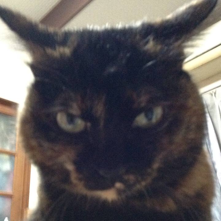 49b3ff2b fcbe 47e7 b8ff 256d2b56f991