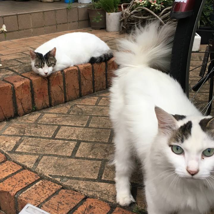 49b4b289 8221 4897 9499 8a7946ff471f