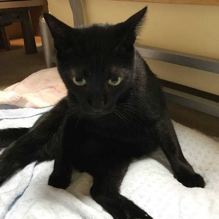 49b4c9f0 e4bb 49d7 a586 77d60a60126b