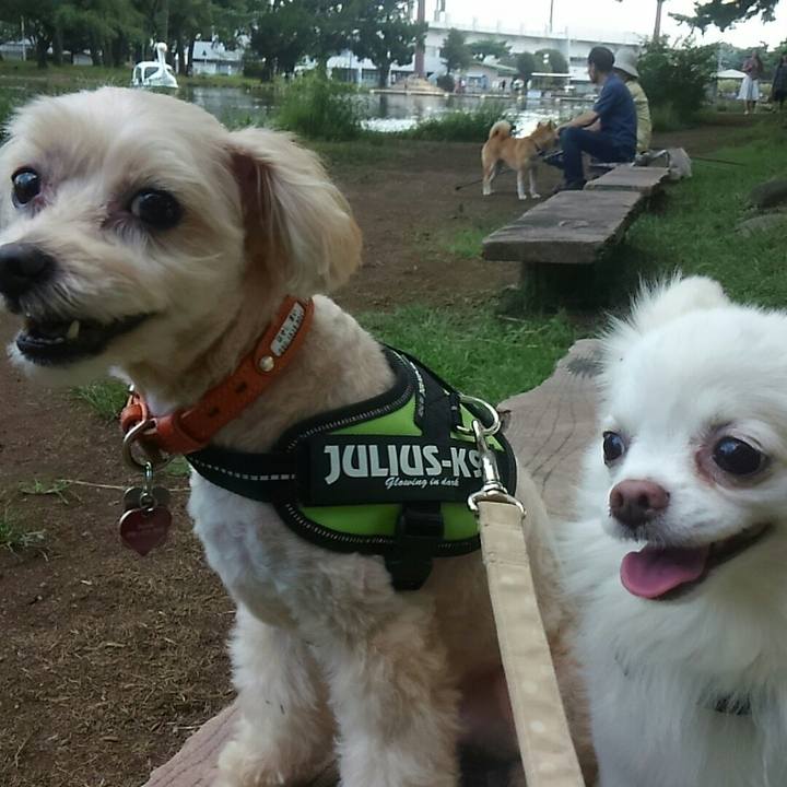 49b5415f 34ee 40b3 a0a5 a897655d4b7a