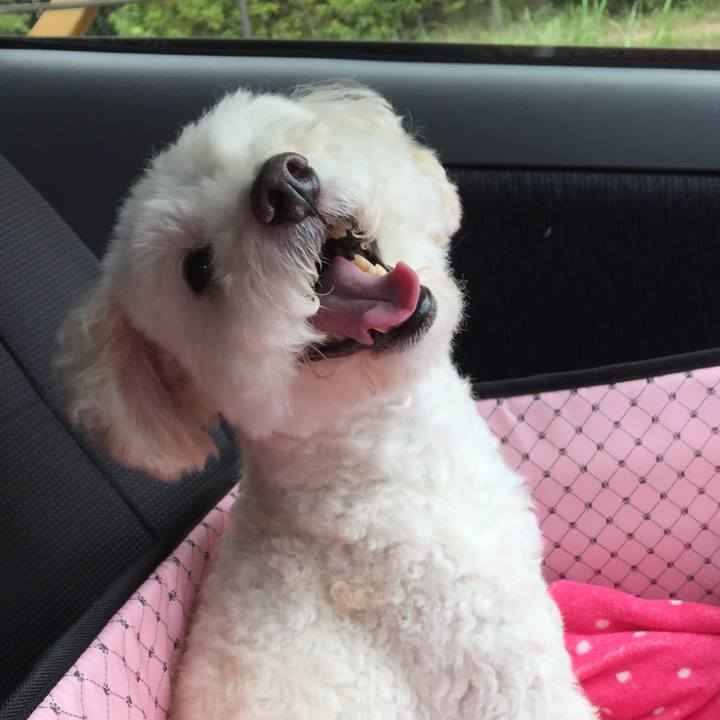 49b55e29 fad9 4ed4 b8d1 fecc765a3d24