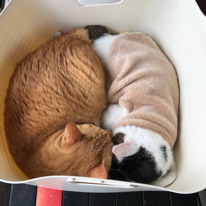 49b57e39 f0fa 4b6d af92 4eedb42a6a5c